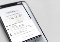 oppo手机怎么开启麦克风权限，oppo麦克风权限在哪里设置