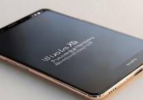 vivo X7怎么看是否支持全网通？详细方法有哪些？