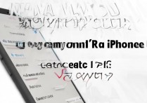 苹果6怎么1x和3g不能上网，iPhone6无法连接3g网络怎么办