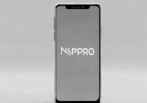 鼎桥N8Pro支持5G双卡双待吗？