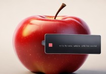 苹果装了卡怎么无服务