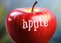 apple 怎么读音