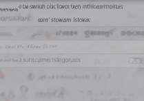 华为5X全网通怎么切换流量，华为5x流量怎么切换卡1卡2