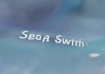 华为怎么打开数据开关在哪里设置？华为移动数据开关在哪里找