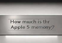 怎么看苹果5内存是多少钱