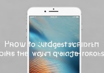 苹果手机6s怎么样升级系统更新