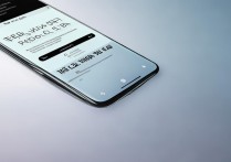 vivox6plus双清具体步骤是怎样的？