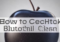 苹果怎么看蓝牙版本？苹果手机蓝牙版本在哪里看