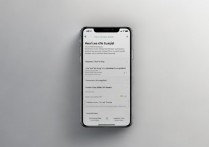 苹果手机怎么调整日期和时间？设置步骤是怎样的？