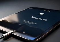 ipad充不进去电
