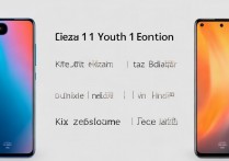 小米 11 青春活力版和小米 11 青春版有什么不同，两款手机参数配置及性能哪个更好？