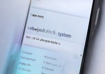 vivo y55怎么查看系统版本，vivo y55如何查看系统信息