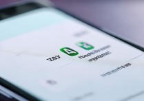 华为文件管理怎么查下过的APP