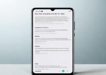 小米13副卡流量怎么用？主卡副卡流量共享设置教程