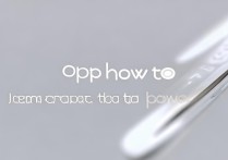 oppo怎么样退出下载