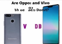 oppo 和 vivo 是一家公司吗？
