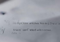 oppo怎么查使用时间？OPPO手机查看激活日期方法