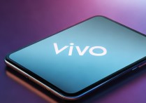 vivo查找