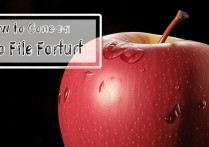 苹果怎么导视频文件格式？苹果导出视频格式大全