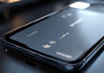 oppo双清怎么还要oppo密码