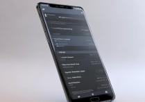 华为p20p手机怎么降级系统