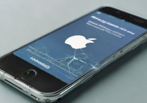 苹果手机5s怎么换屏幕失灵了，苹果5s屏幕失灵怎么自己修