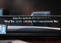 小米11Ultra支持屏幕指纹识别吗？实际体验怎么样？