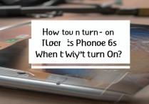 苹果6s怎么开不开机了