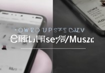 vivo手机音乐怎么收藏？vivo手机音乐收藏方法详解