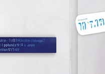 vivos10e能无线反向充电吗？支持OTG功能吗？