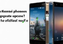 华为root后还能正常升级系统吗？官方途径会失效吗？