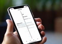 苹果7plus怎么开启分屏