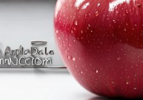 苹果手机怎么数据连接电脑，苹果数据连接电脑没反应怎么办