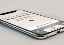 苹果xsmax怎么识别真机