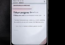 小米13怎么给钱包设置密码？步骤教程详解