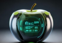 苹果上怎么显示电量百分比