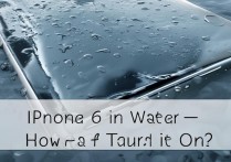 苹果6掉水里了没有关机怎么办，苹果6进水不关机还能用吗