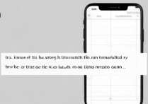 苹果手机6spuls没声音了怎么解决，iPhone6s Plus无声故障维修指南
