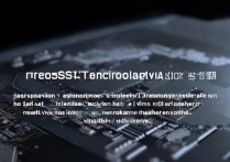 vivoS13 处理器是什么？vivoS13 处理器性能和参数怎么样？