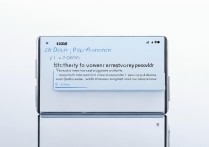 vivox9隐私密码忘记了怎么办