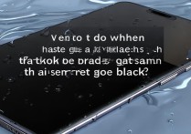 华为进水黑屏了怎么办