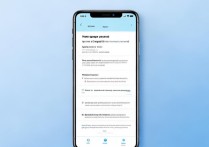 怎么修改 vivo 账户密码？