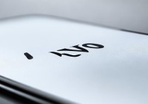 vivo 设备锁