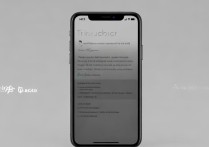 苹果11手机怎么给图片添加标记或备注？