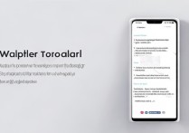 小米11青春版换壁纸教程在哪？手机壁纸更换步骤详解