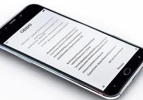 oppo手机系统升级步骤详解？旧款机型能升最新系统吗？