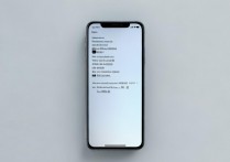 vivox3t怎么看权限，vivox3t权限管理在哪里设置