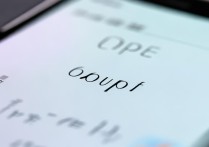 oppo里的小微怎么叫