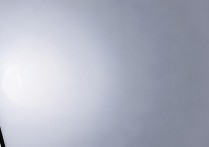 vivo手机网络设置怎么添加？详细步骤看这里！