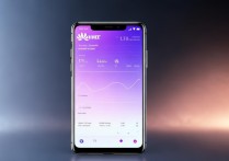 华为手机怎么测网速